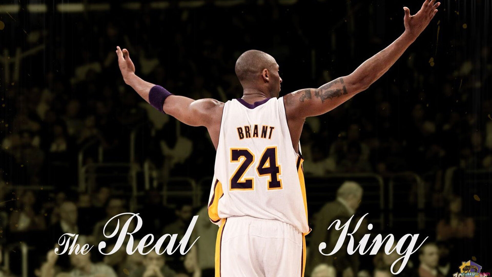 亚洲羽毛球锦标赛女单八强出炉 何冰娇连胜晋级成国羽独苗，亚洲羽毛球锦标赛男单冠军